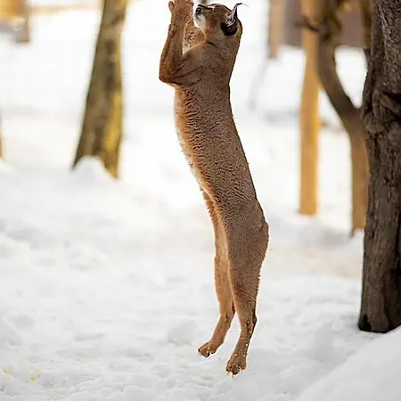 호텔 Rodinny Hubert High Tatras Batizovce